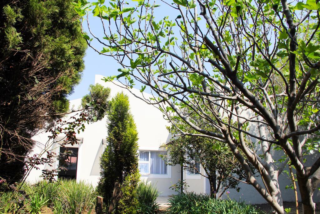 La Coscello Guest House Edenvale Dış mekan fotoğraf
